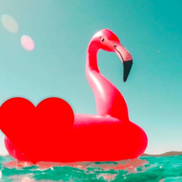 Cute flamingo sign .... - Picture 1 of 1